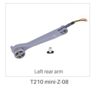 Left rear arm